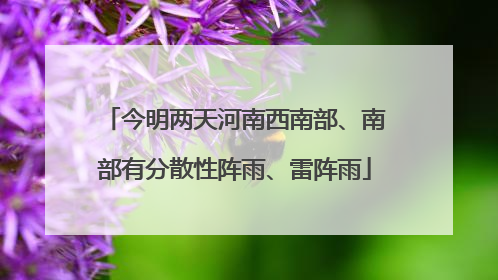 今明两天河南西南部、南部有分散性阵雨、雷阵雨
