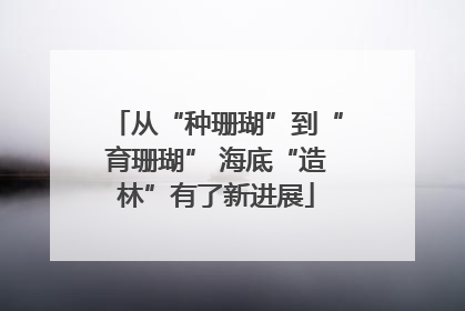 从“种珊瑚”到“育珊瑚” 海底“造林”有了新进展