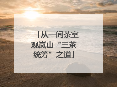 从一间茶室观岚山“三茶统筹”之道