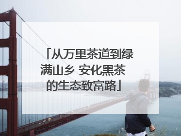 从万里茶道到绿满山乡 安化黑茶的生态致富路