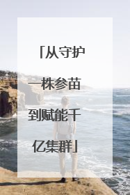 从守护一株参苗到赋能千亿集群