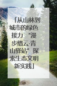 从山林到城市的绿色接力 “漫步缙云·青山驿站”探索生态文明新实践