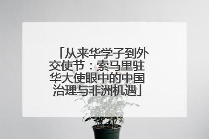 从来华学子到外交使节：索马里驻华大使眼中的中国治理与非洲机遇