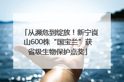 从濒危到绽放！新宁崀山600株“国宝兰”获省级生物保护嘉奖