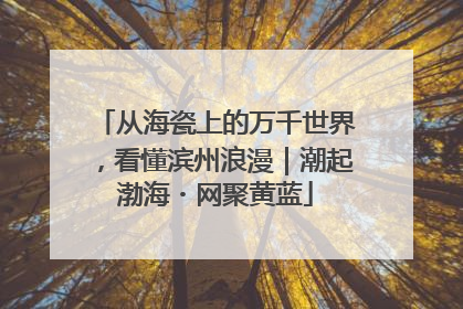 从海瓷上的万千世界，看懂滨州浪漫｜潮起渤海・网聚黄蓝