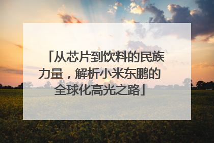 从芯片到饮料的民族力量，解析小米东鹏的全球化高光之路