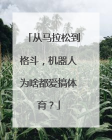 从马拉松到格斗，机器人为啥都爱搞体育？