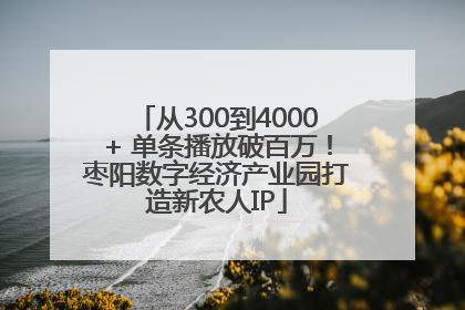 从300到4000+ 单条播放破百万！枣阳数字经济产业园打造新农人IP
