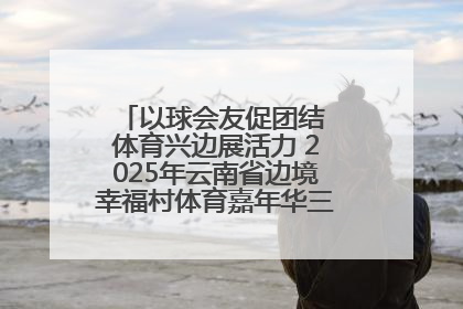 以球会友促团结 体育兴边展活力 2025年云南省边境幸福村体育嘉年华三人篮球赛圆满收官
