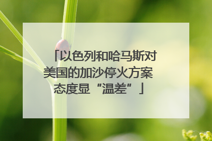 以色列和哈马斯对美国的加沙停火方案态度显“温差”