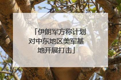 伊朗军方称计划对中东地区美军基地开展打击