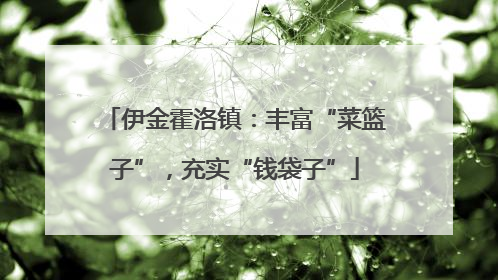 伊金霍洛镇：丰富“菜篮子”，充实“钱袋子”