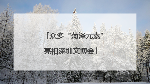众多“菏泽元素”亮相深圳文博会