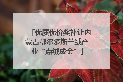 优质优价奖补让内蒙古鄂尔多斯羊绒产业“点绒成金”