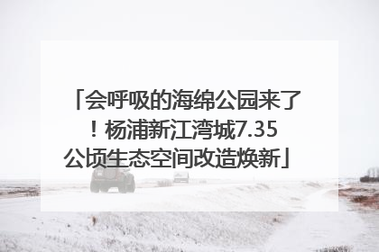 会呼吸的海绵公园来了！杨浦新江湾城7.35公顷生态空间改造焕新