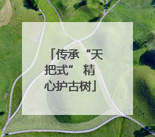 传承“天把式” 精心护古树