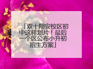 双十翔安校区初中这样划片！最后一个区公布小升初招生方案