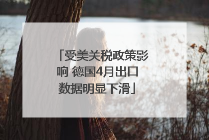 受美关税政策影响 德国4月出口数据明显下滑