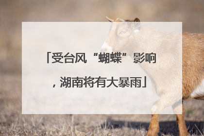 受台风“蝴蝶”影响，湖南将有大暴雨