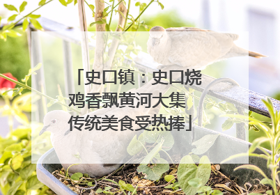 史口镇：史口烧鸡香飘黄河大集 传统美食受热捧