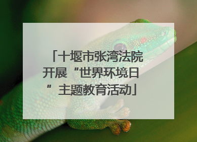 十堰市张湾法院开展“世界环境日”主题教育活动