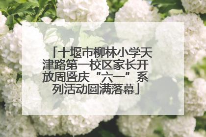 十堰市柳林小学天津路第一校区家长开放周暨庆“六一”系列活动圆满落幕
