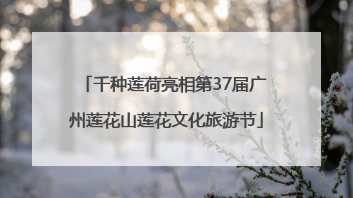 千种莲荷亮相第37届广州莲花山莲花文化旅游节