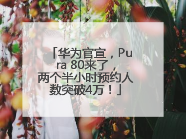 华为官宣，Pura 80来了，两个半小时预约人数突破4万！