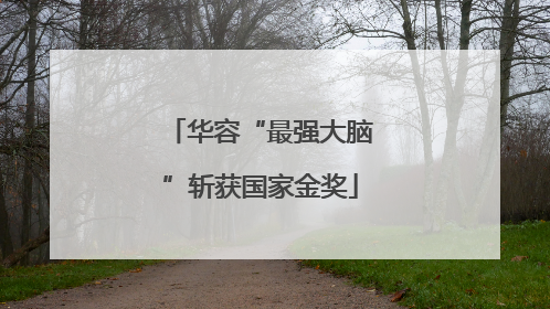 华容“最强大脑”斩获国家金奖