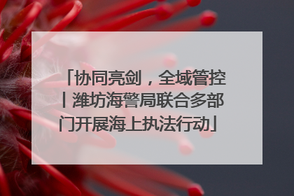 协同亮剑，全域管控丨潍坊海警局联合多部门开展海上执法行动