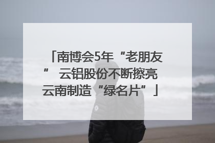 南博会5年“老朋友” 云铝股份不断擦亮云南制造“绿名片”