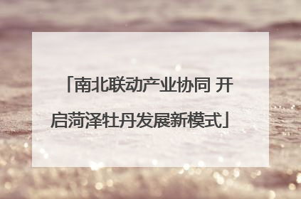 南北联动产业协同 开启菏泽牡丹发展新模式