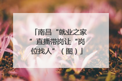 南昌“就业之家”直播带岗让“岗位找人”（图）