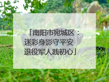 南阳市宛城区：迷彩身影守平安 退役军人践初心