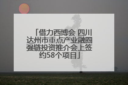 借力西博会 四川达州市重点产业融圈强链投资推介会上签约58个项目