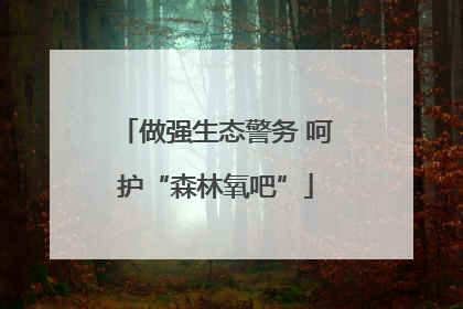 做强生态警务 呵护“森林氧吧”