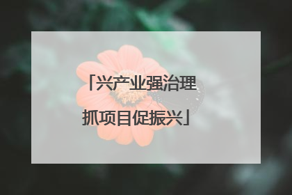 兴产业强治理 抓项目促振兴