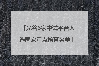 光谷6家中试平台入选国家重点培育名单