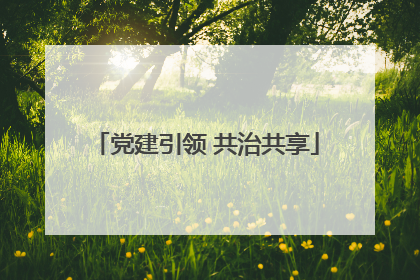 党建引领 共治共享