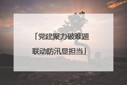 党建聚力破难题 联动防汛显担当