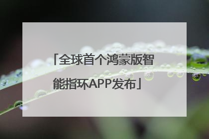 全球首个鸿蒙版智能指环APP发布