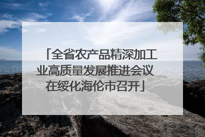 全省农产品精深加工业高质量发展推进会议在绥化海伦市召开