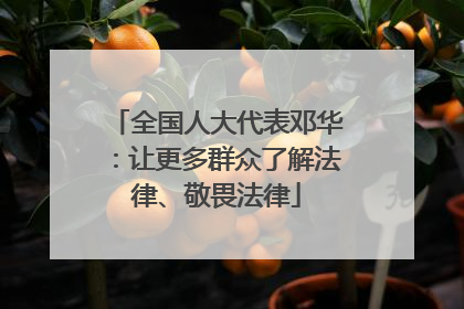 全国人大代表邓华：让更多群众了解法律、敬畏法律