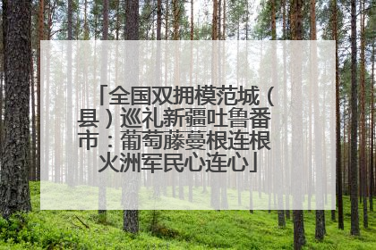 全国双拥模范城（县）巡礼新疆吐鲁番市：葡萄藤蔓根连根 火洲军民心连心