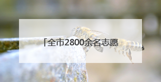 全市2800余名志愿者化身爱心“护考团”