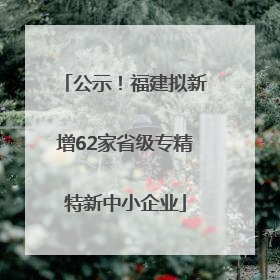 公示！福建拟新增62家省级专精特新中小企业