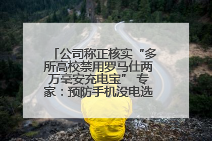 公司称正核实“多所高校禁用罗马仕两万毫安充电宝” 专家：预防手机没电选中等体积产品即可