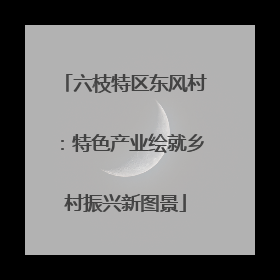 六枝特区东风村：特色产业绘就乡村振兴新图景