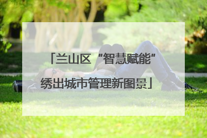 兰山区“智慧赋能”绣出城市管理新图景