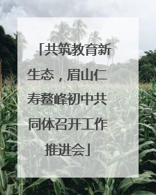 共筑教育新生态，眉山仁寿鳌峰初中共同体召开工作推进会